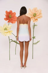 Dewdrop Dreams Strapless Mini Dress Ombre